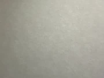 sungpiggott